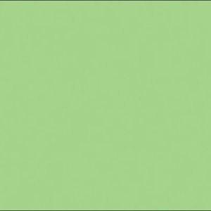 Meet your Posher, Izzy